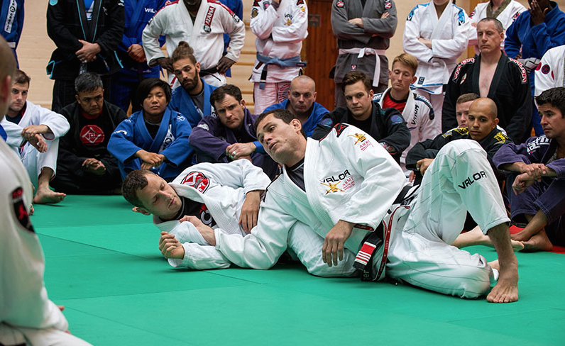 ARMED FORCES RECEIVE MASTERCLASS FROM ROGER GRACIE