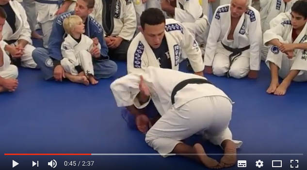 ARMLOCK FROM TURTLE WITH RENZO GRACIE