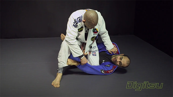 BERNARDO FARIA: Z-GUARD VS KNEE CUT PASS